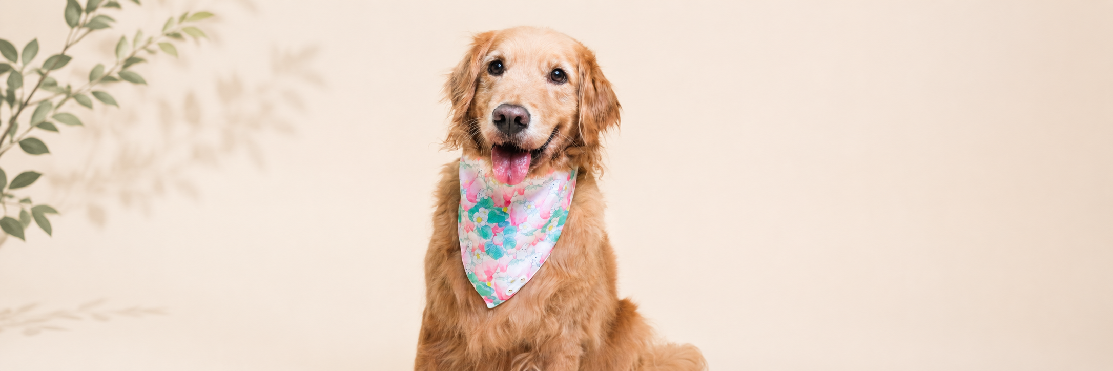Bandana