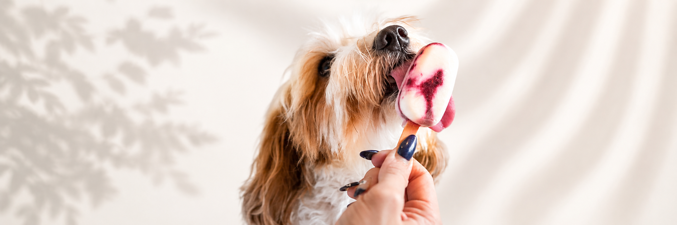 Pawpsicles