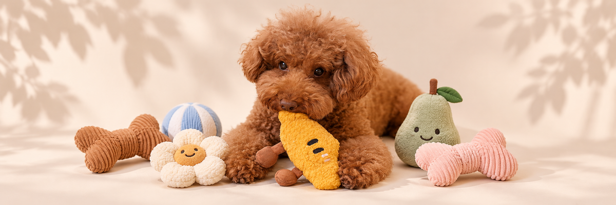 Plush & Play
