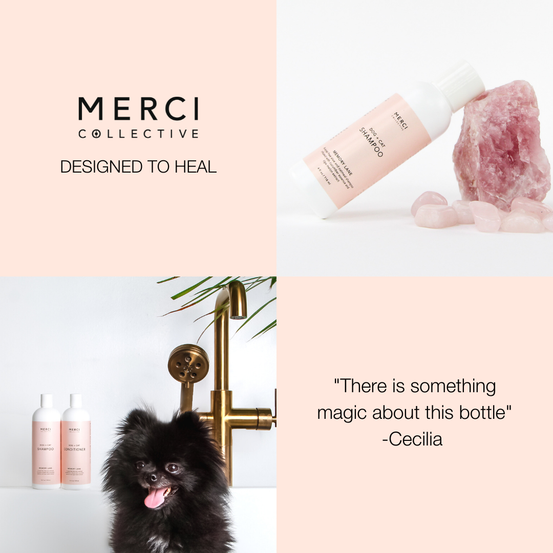 Merci Collective Memory Lane Shampoo | Rose Quartz