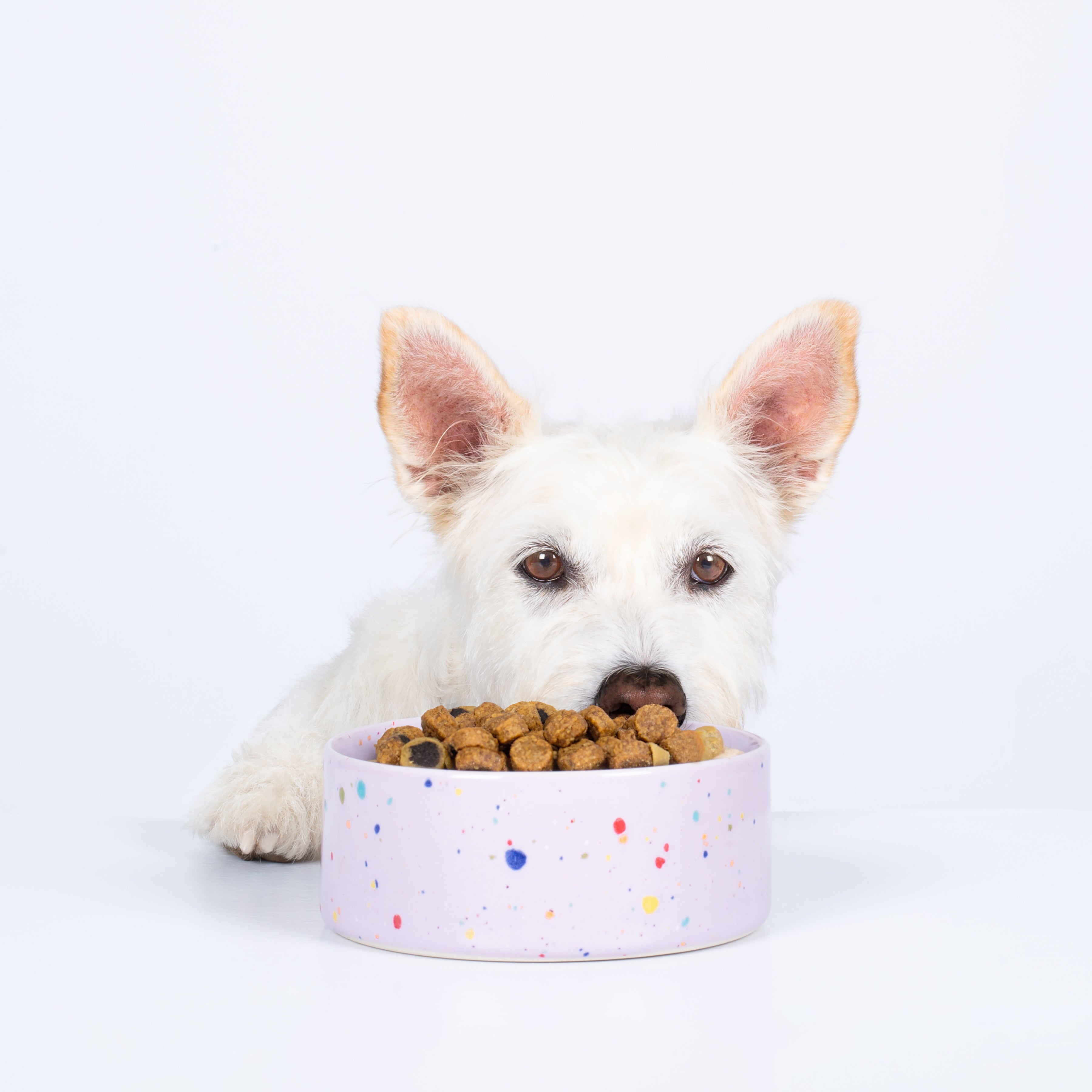 Egg Back Home New Party Bowl | Lilac