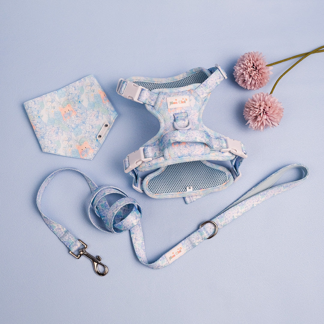 Mon Ciel Asagi Kuma Bandana