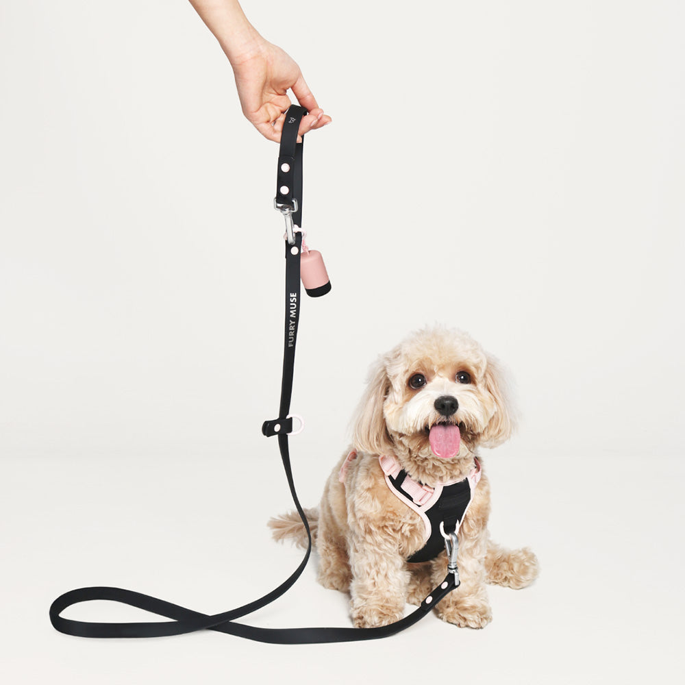 Furry Muse Wander! Multiway Waterproof Leash Ballerina