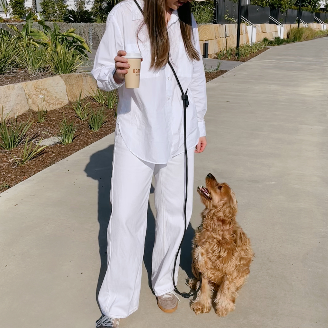 ST ARGO Hands-free Leash | Black