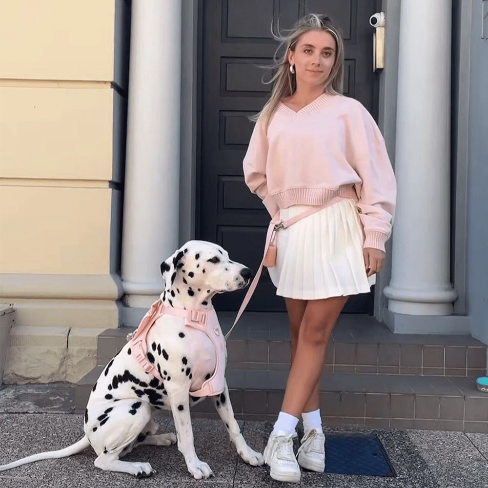 Furry Muse Wander! Multiway Waterproof Leash Blossom