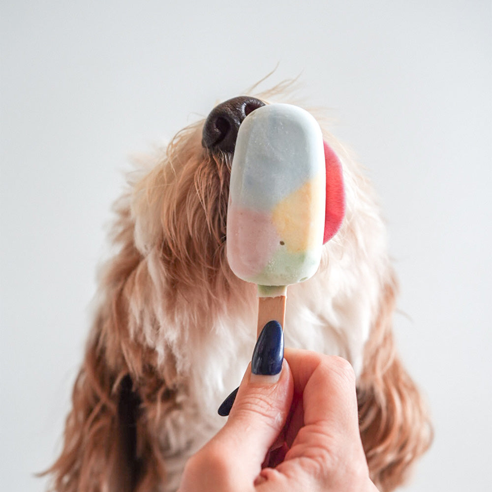Licked. Born This Way Pawpsicles