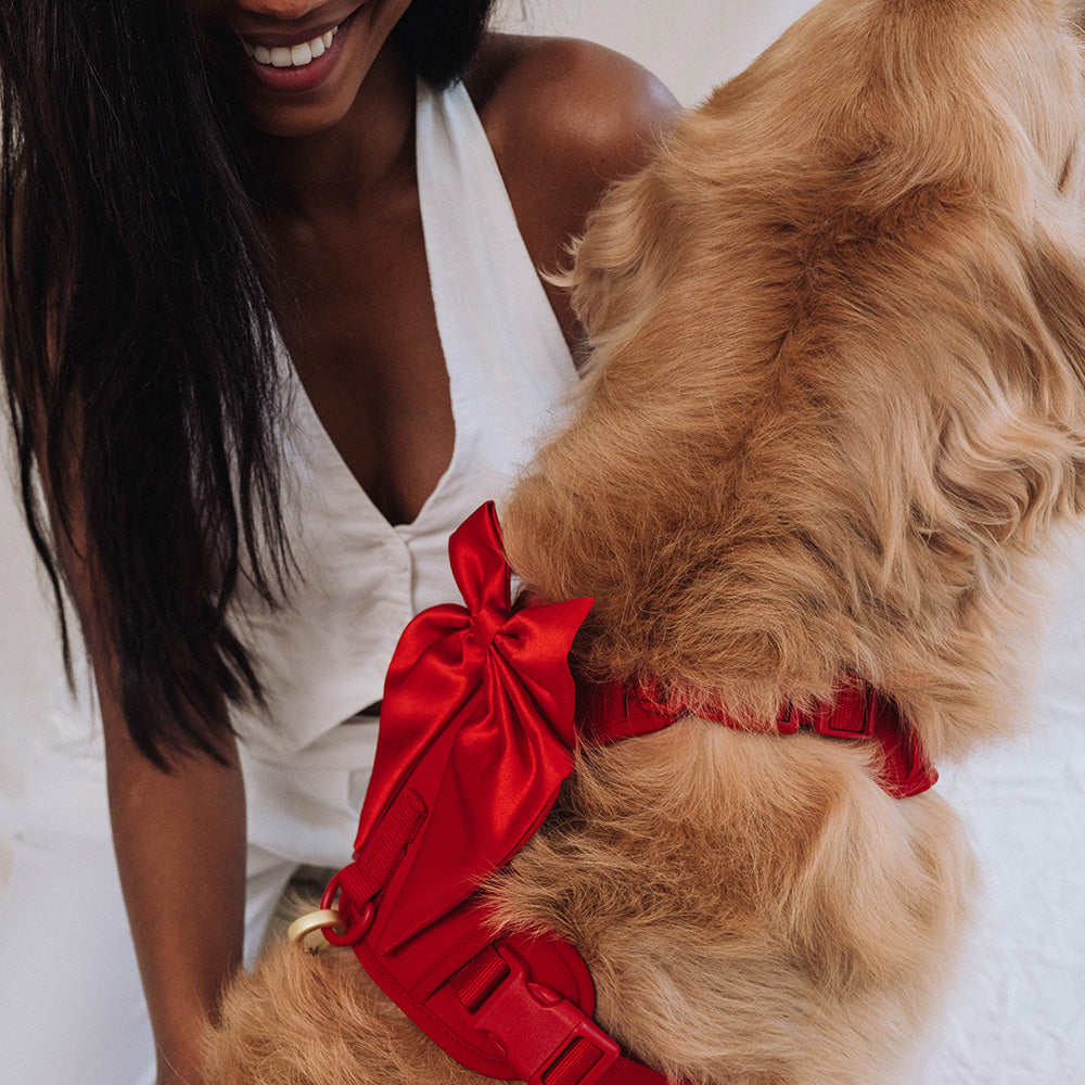 Furry Muse Wander! Bow Harness Cherry