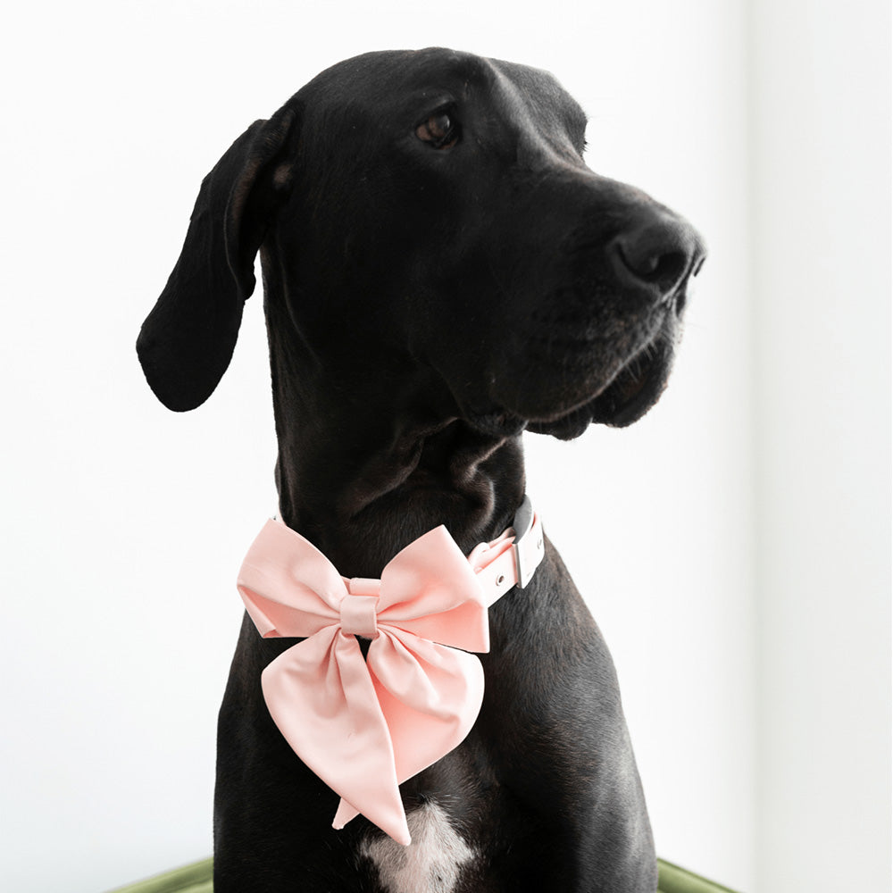 Furry Muse Satin Collar Bow Blossom