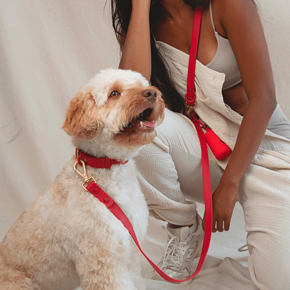 Furry Muse Wander! Multiway Waterproof Leash Cherry