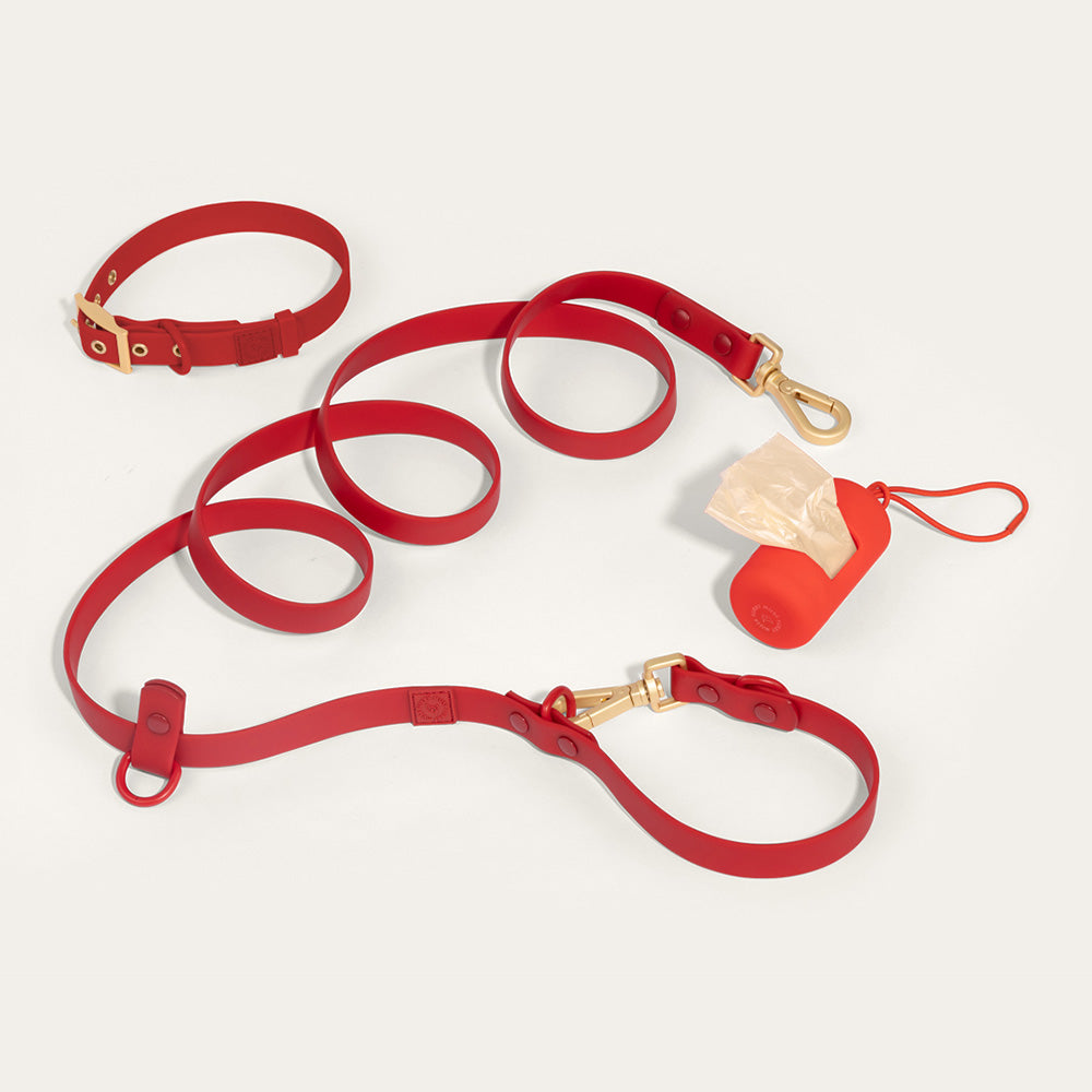 Furry Muse Wander! Multiway Waterproof Leash Cherry