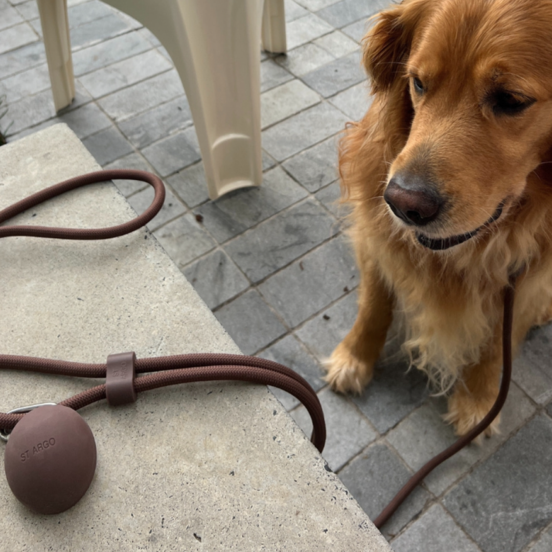 ST ARGO Hands-free Leash | Cocoa