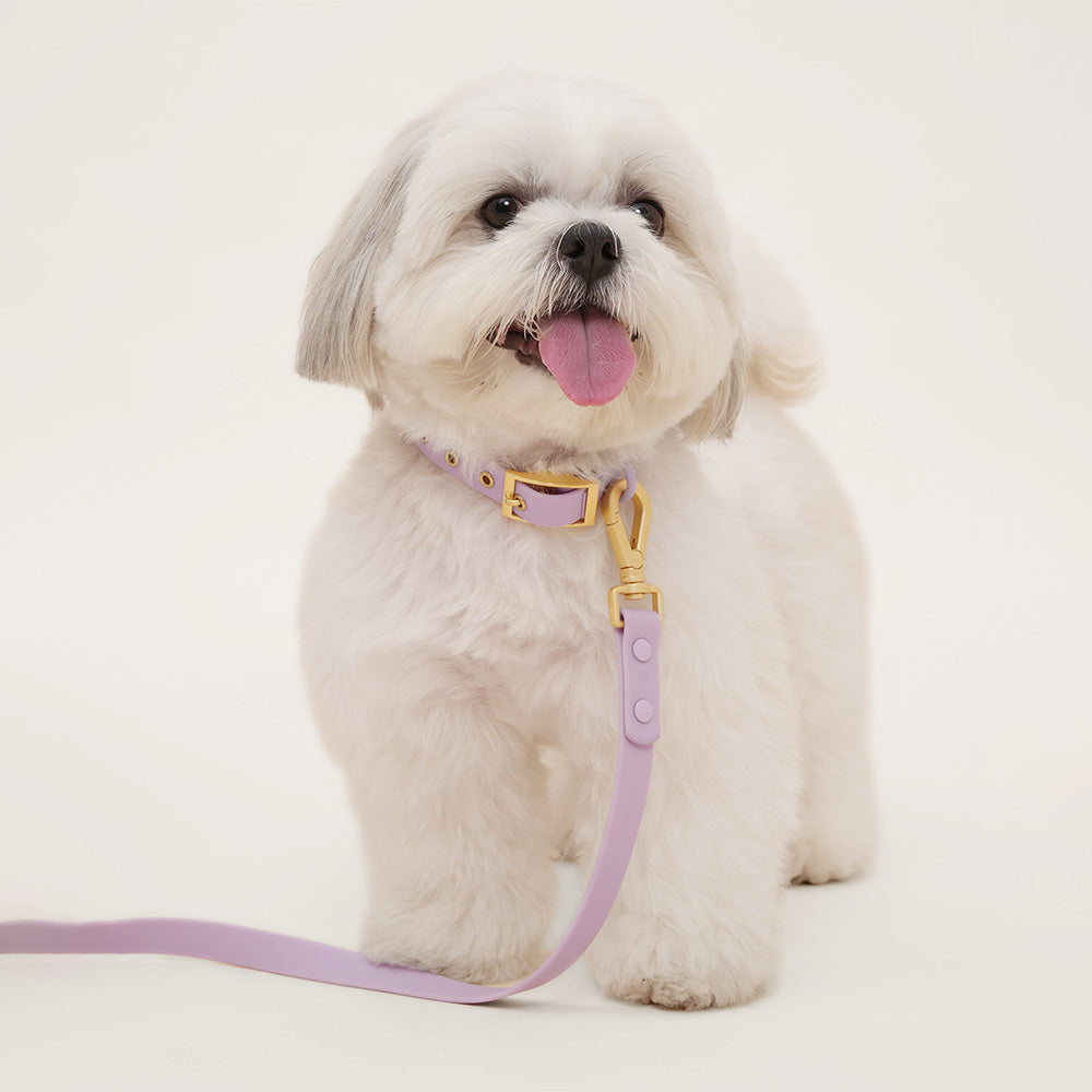 Furry Muse Wander! Waterproof Collar Lilac