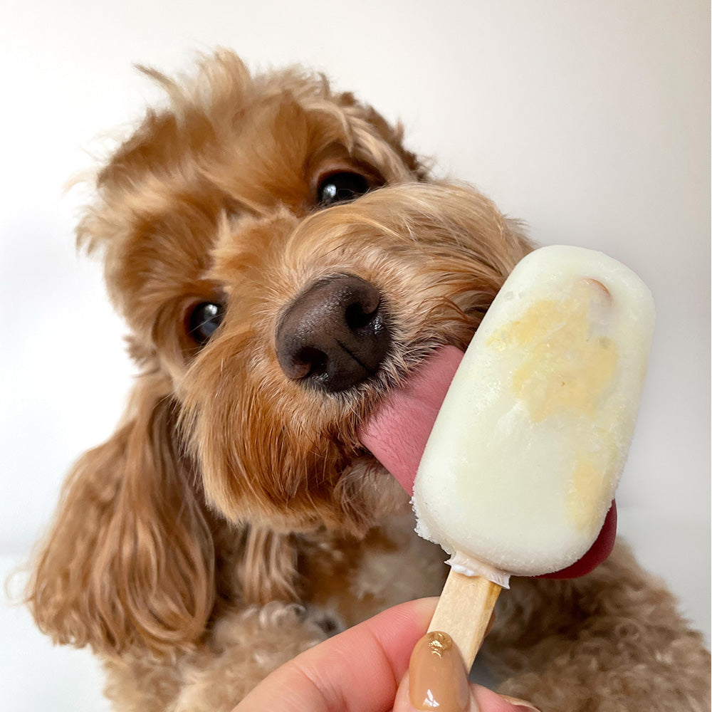 Licked. Odour-Able Mini Pawpsicles