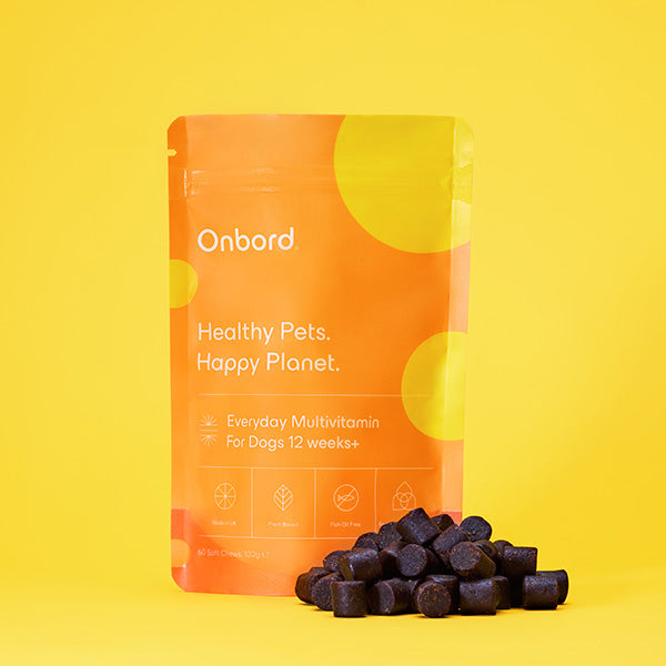 Onbord Everyday Multivitamin For Dogs 12 Weeks+