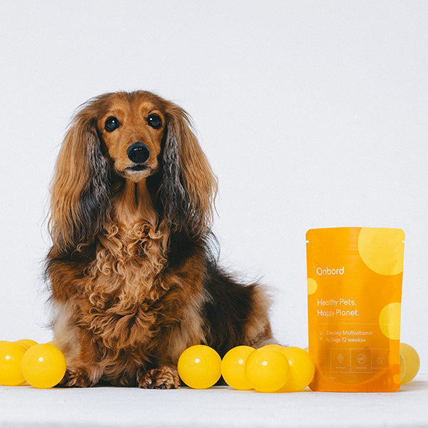 Onbord Everyday Multivitamin For Dogs 12 Weeks+
