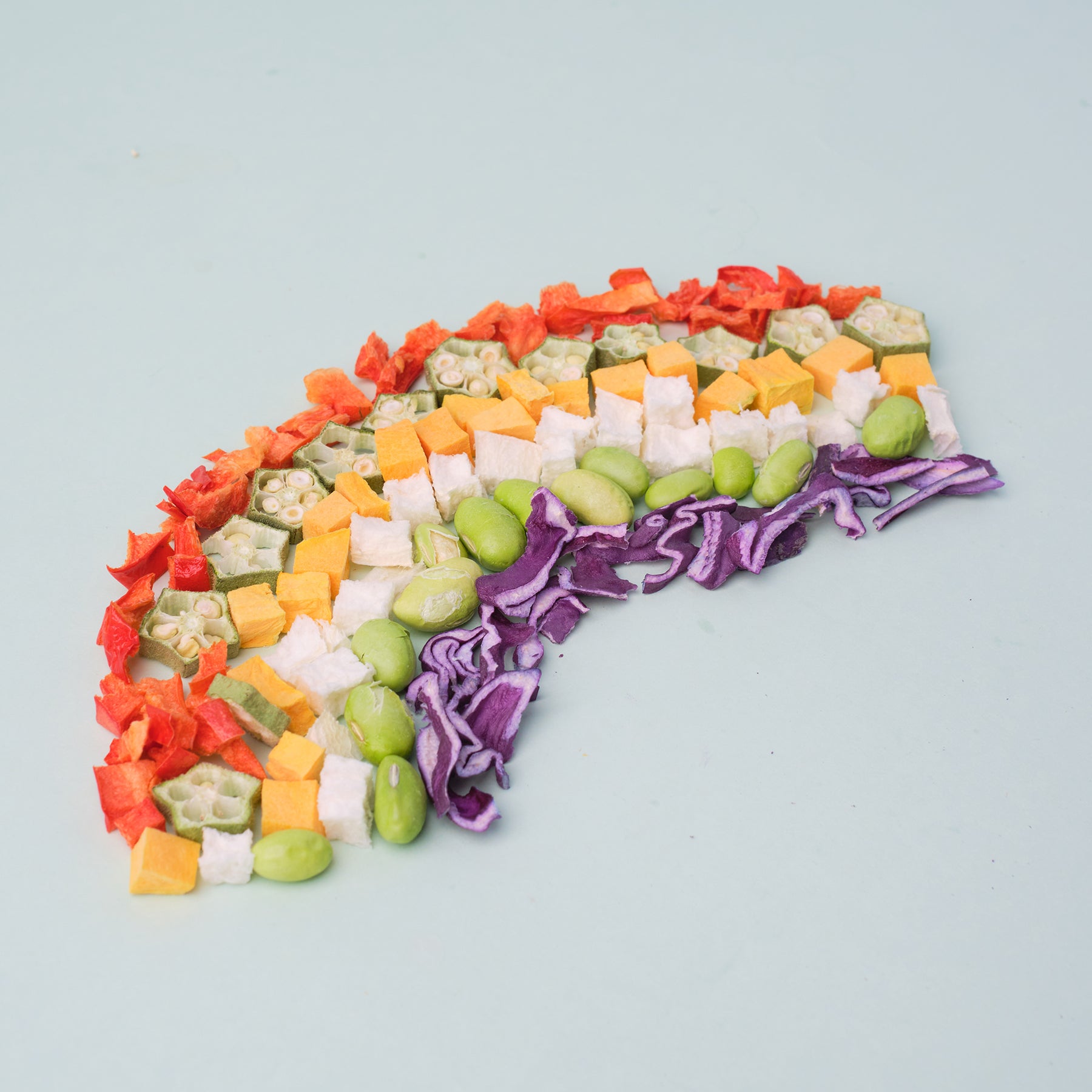 WildChow Garden Rainbow