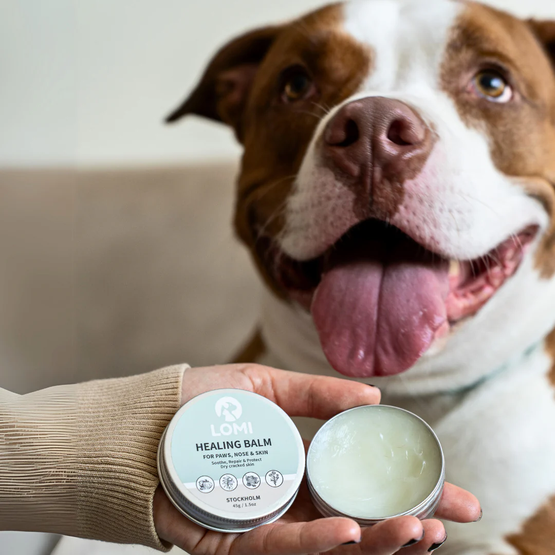 Lomi Healing Balm