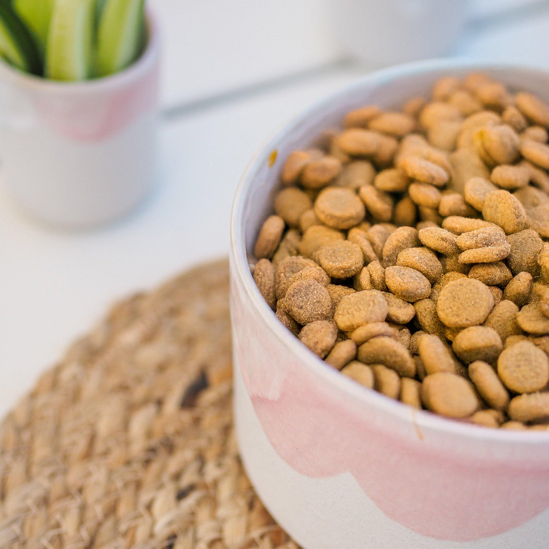 Egg Back Home Frozen Bowl