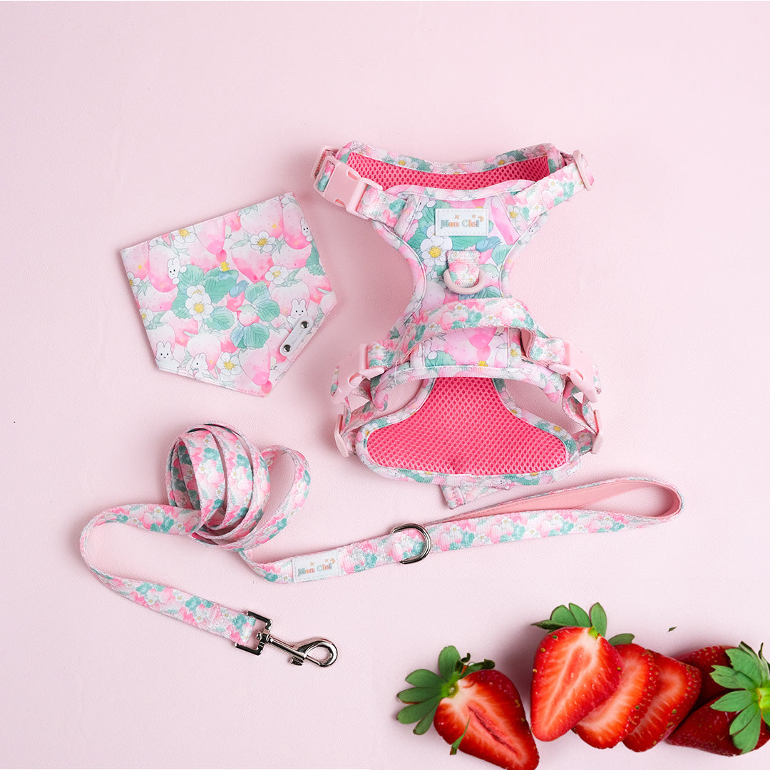 Mon Ciel Ichigo Usagi Harness