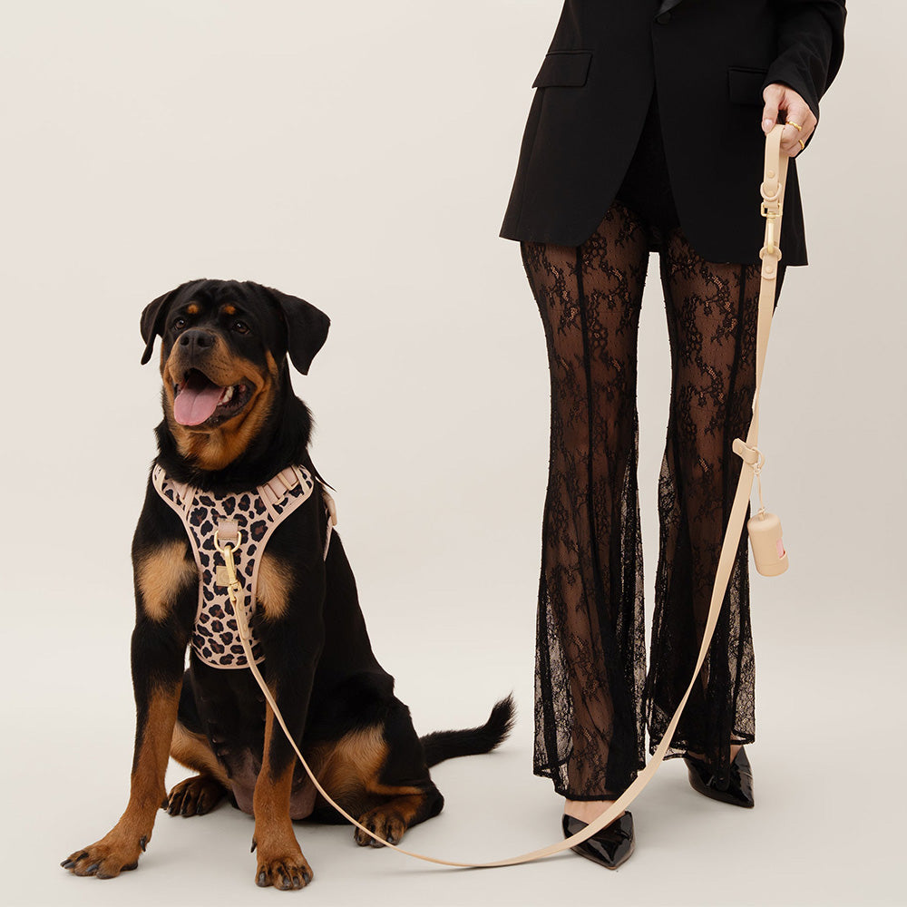 Furry Muse Wander! Multiway Waterproof Leash Latte