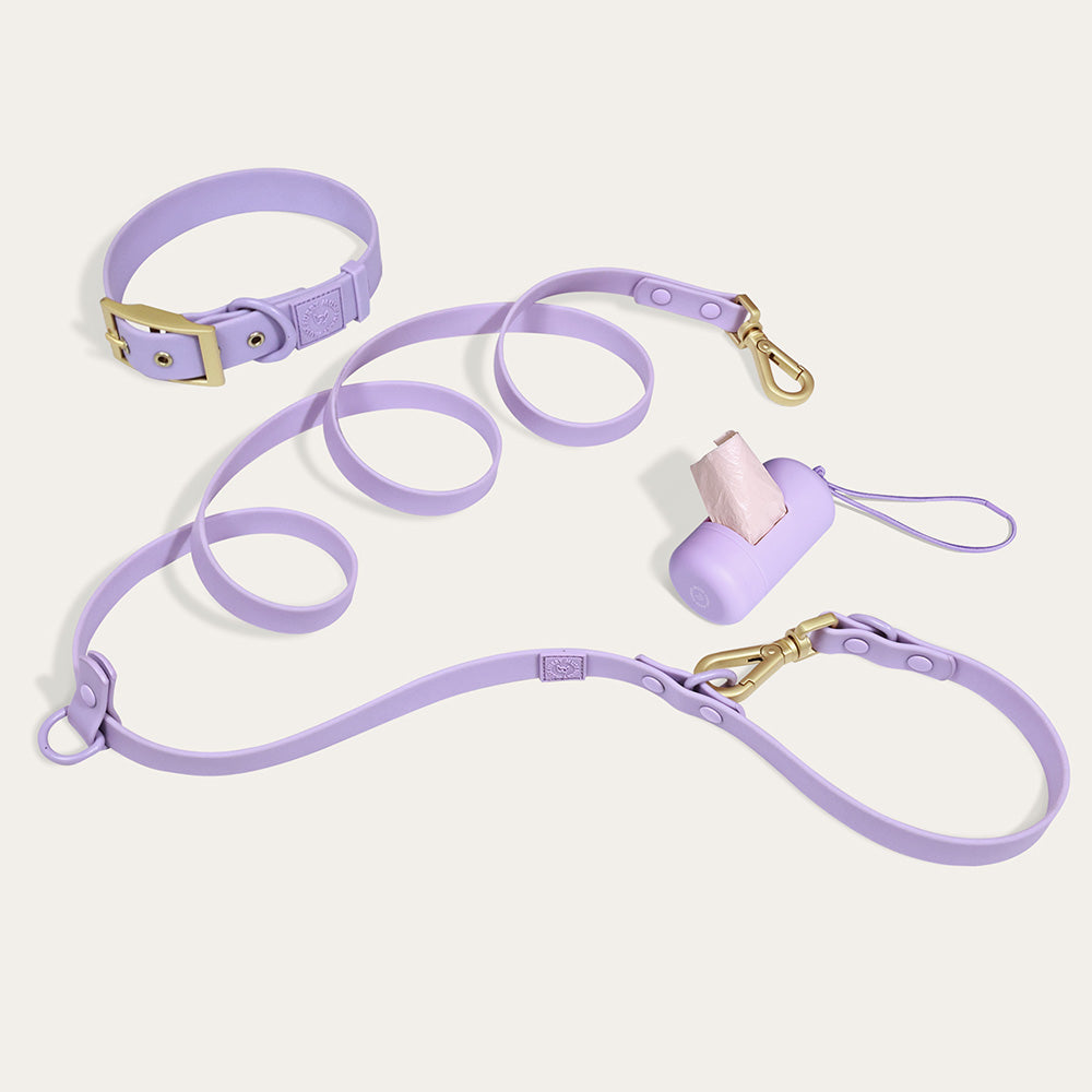 Furry Muse Wander! Waterproof Collar Lilac