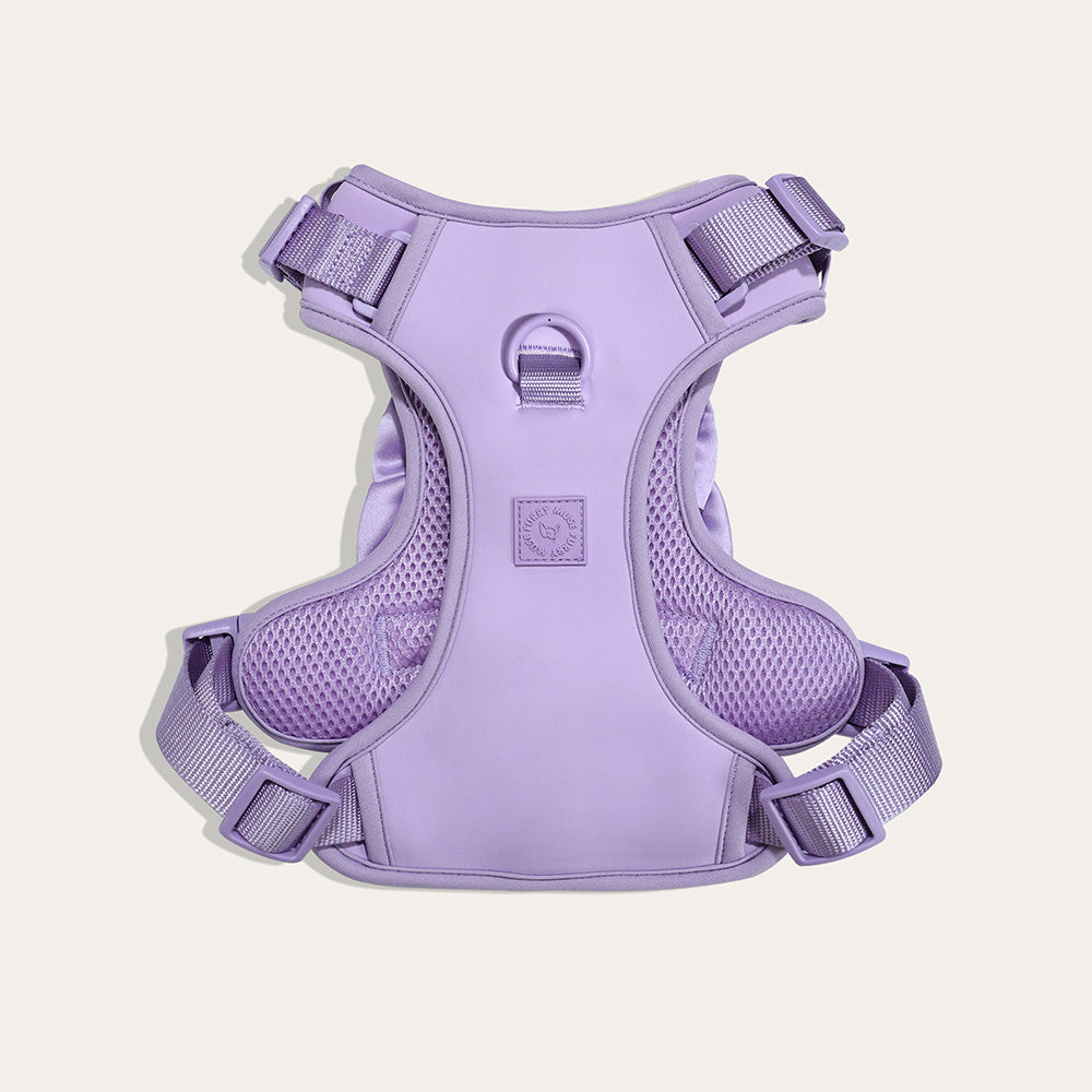 Furry Muse Wander! Bow Harness Lilac