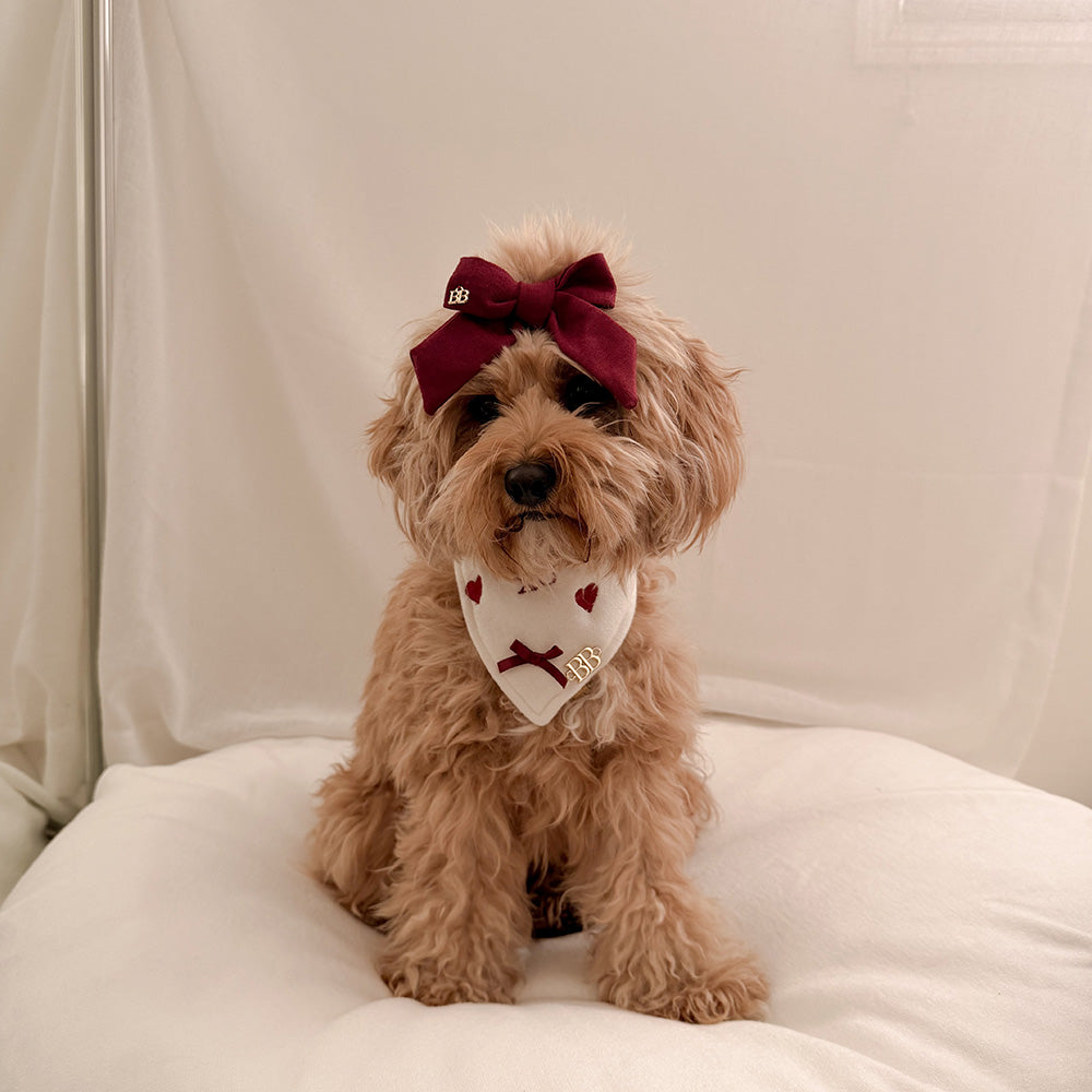 比利熊情书头巾