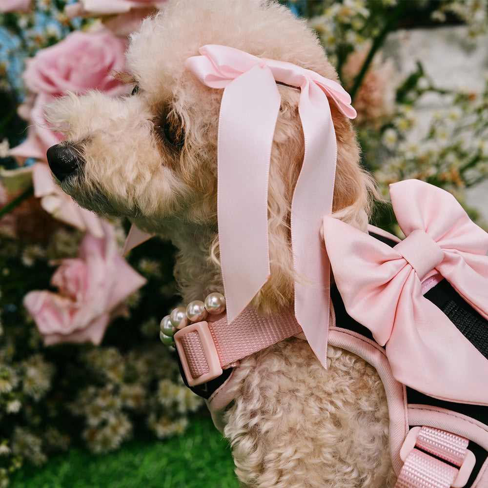 Furry Muse Petite Bow Clips Blossom