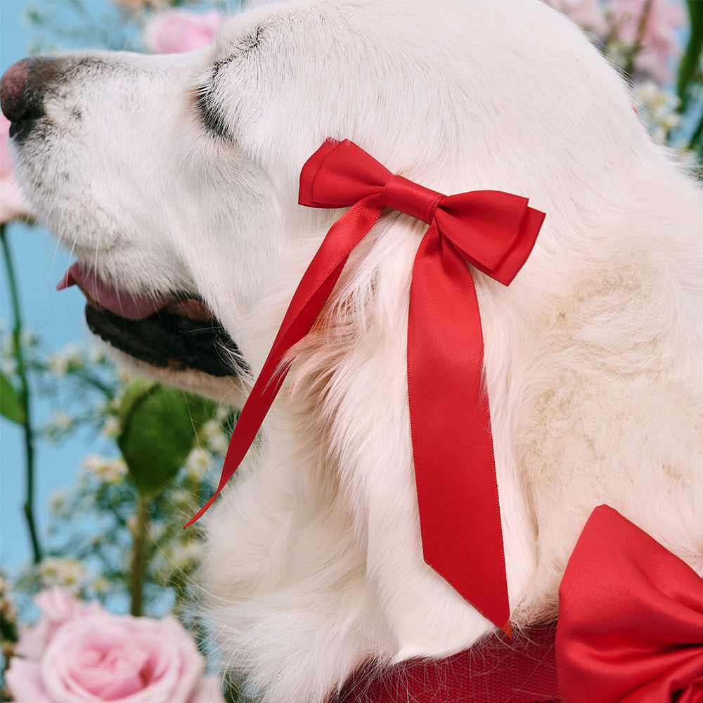 Furry Muse Petite Bow Clips Cherry