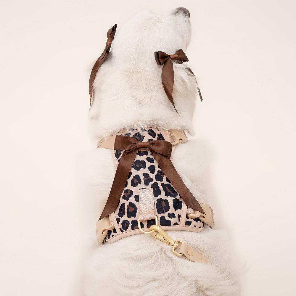 Furry Muse Petite Bow Clips Espresso