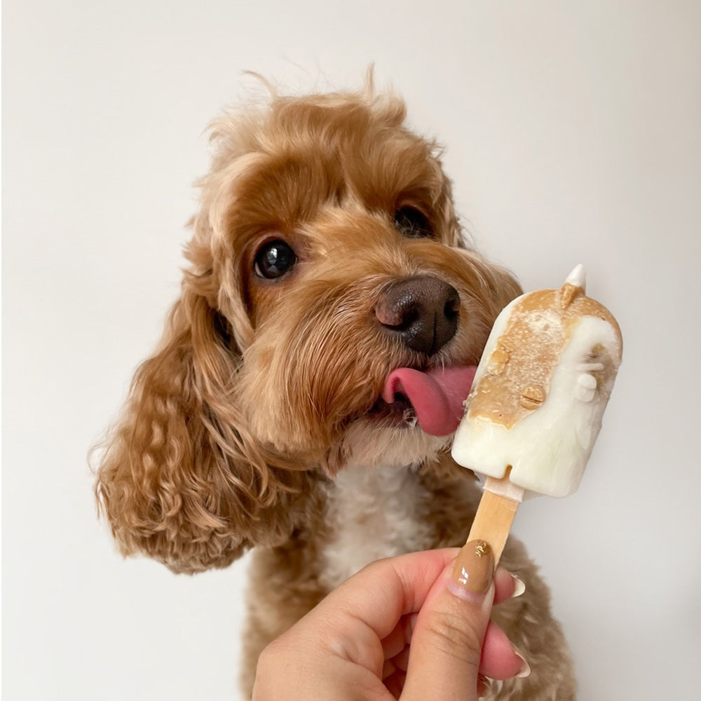 Licked. Nutty Nana Mini Pawpsicles