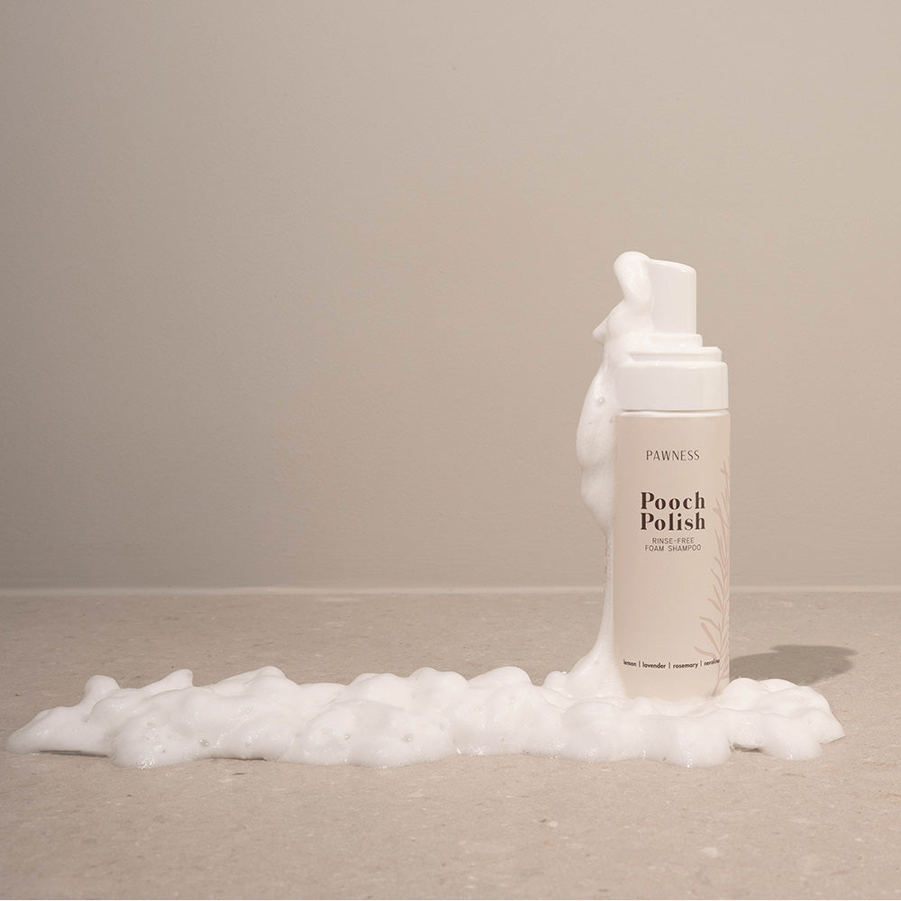 Pawness Pooch Polish | Rinse-Free Dry Shampoo