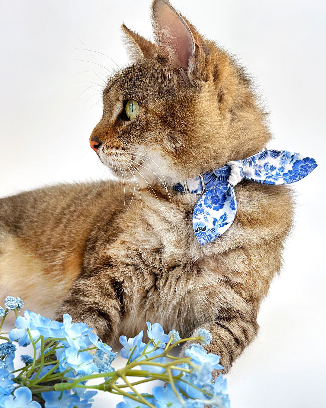 Made By Cleo Porcelain Paisley Bunny Tie Cat Collar