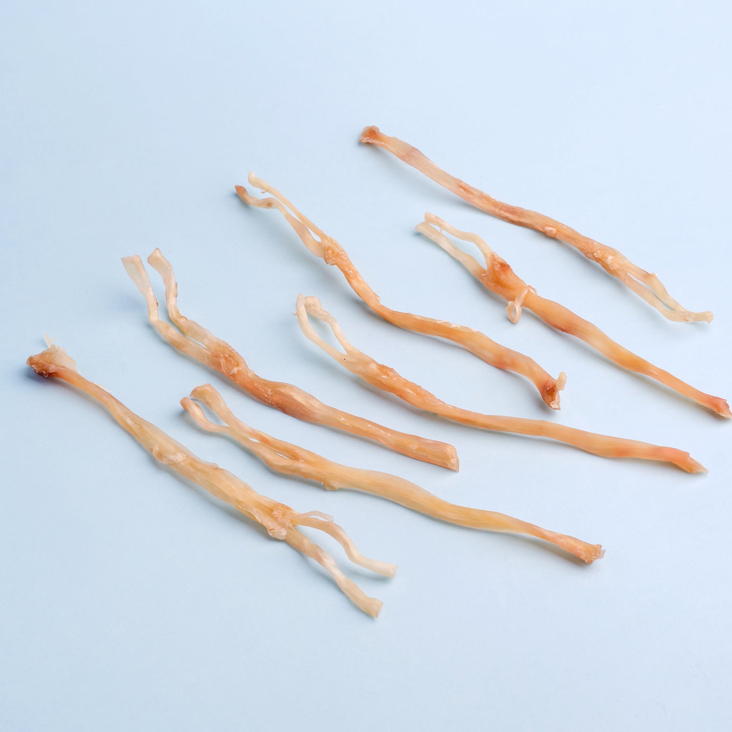 WildChow Air-Dried Pork Tendon