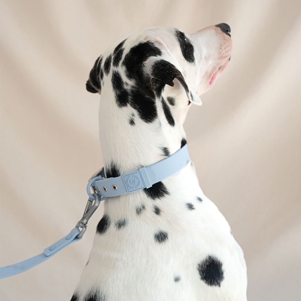 Furry Muse Wander! Waterproof Collar Sky