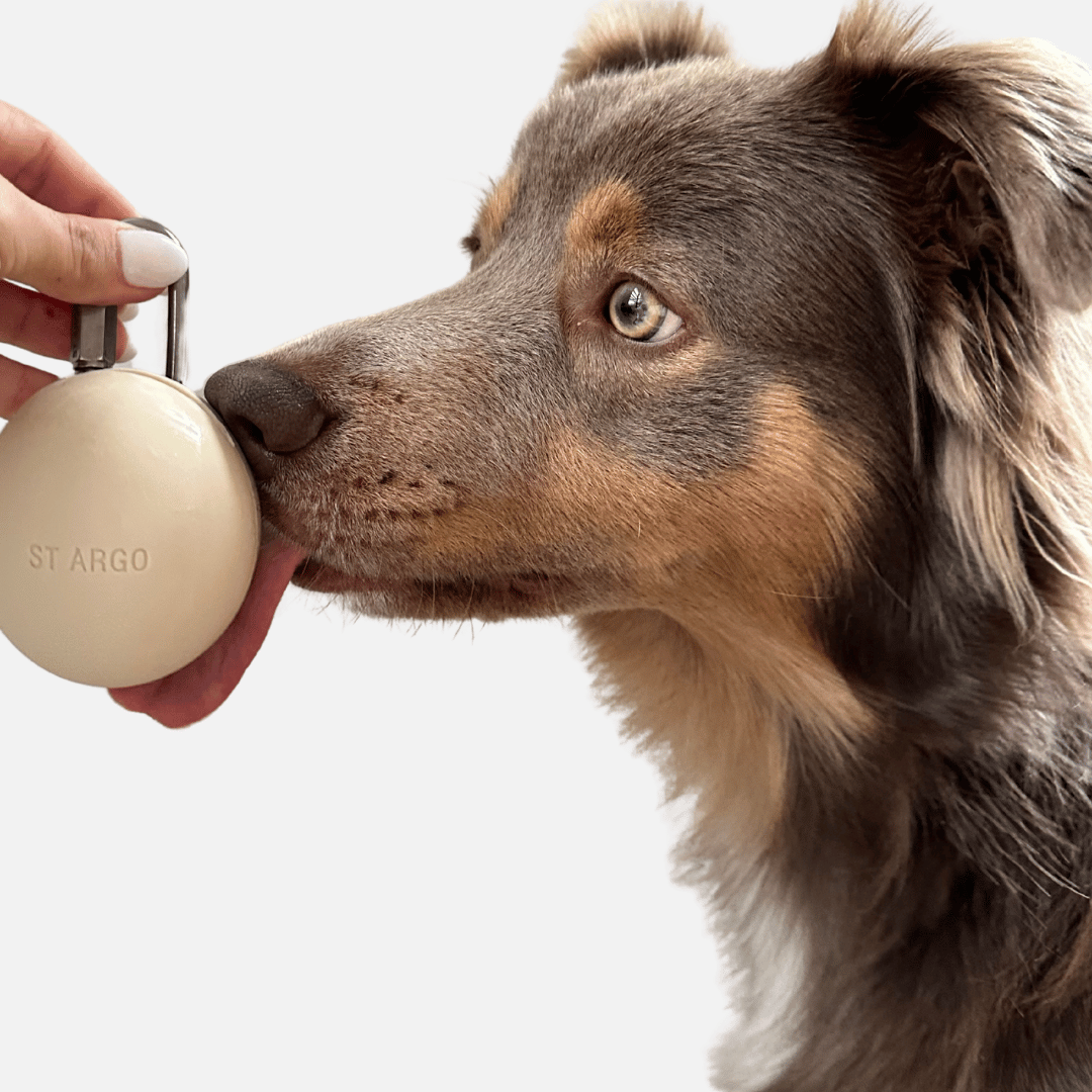 ST ARGO Treat Pouch | Cream