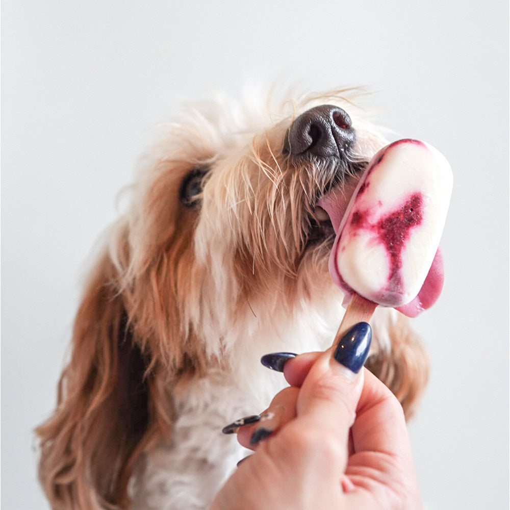 Licked. Very Berry Mini Pawpsicles