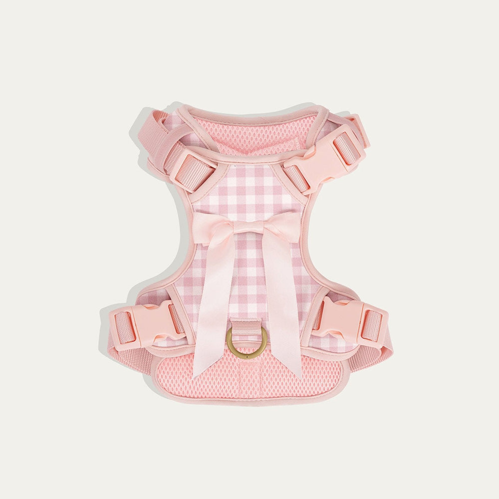 毛茸茸的缪斯漫游!弓形芭蕾舞女