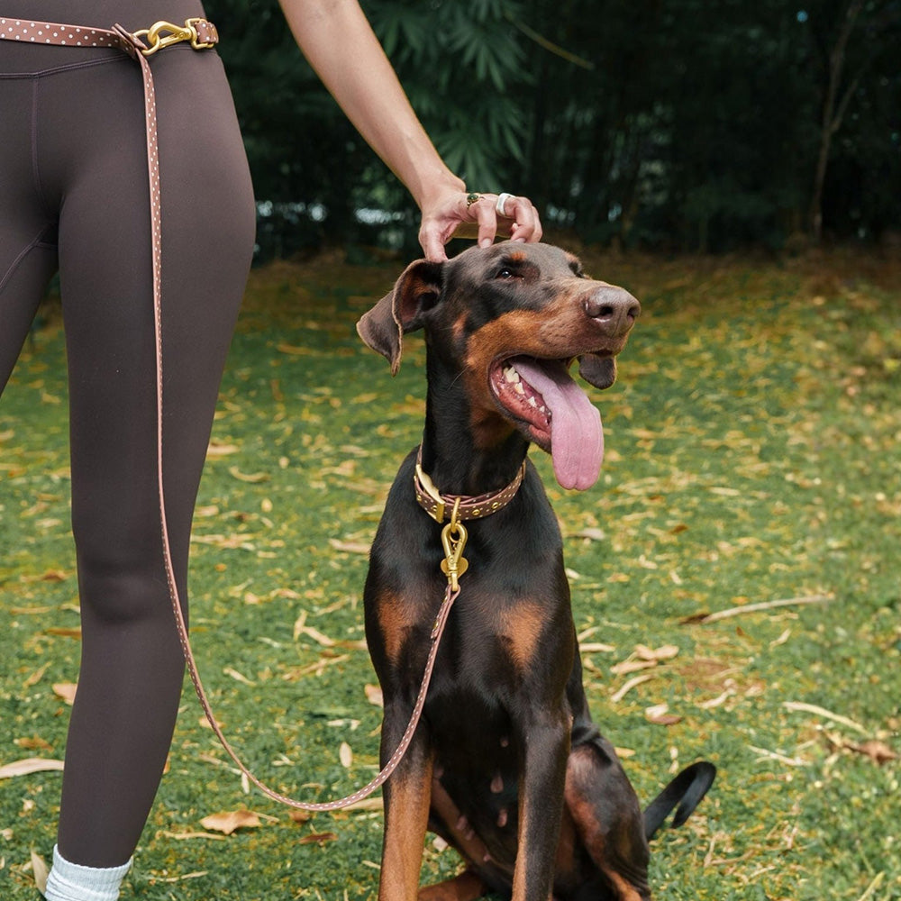 Furry Muse Wander!多功能防水牵引绳 淡紫色