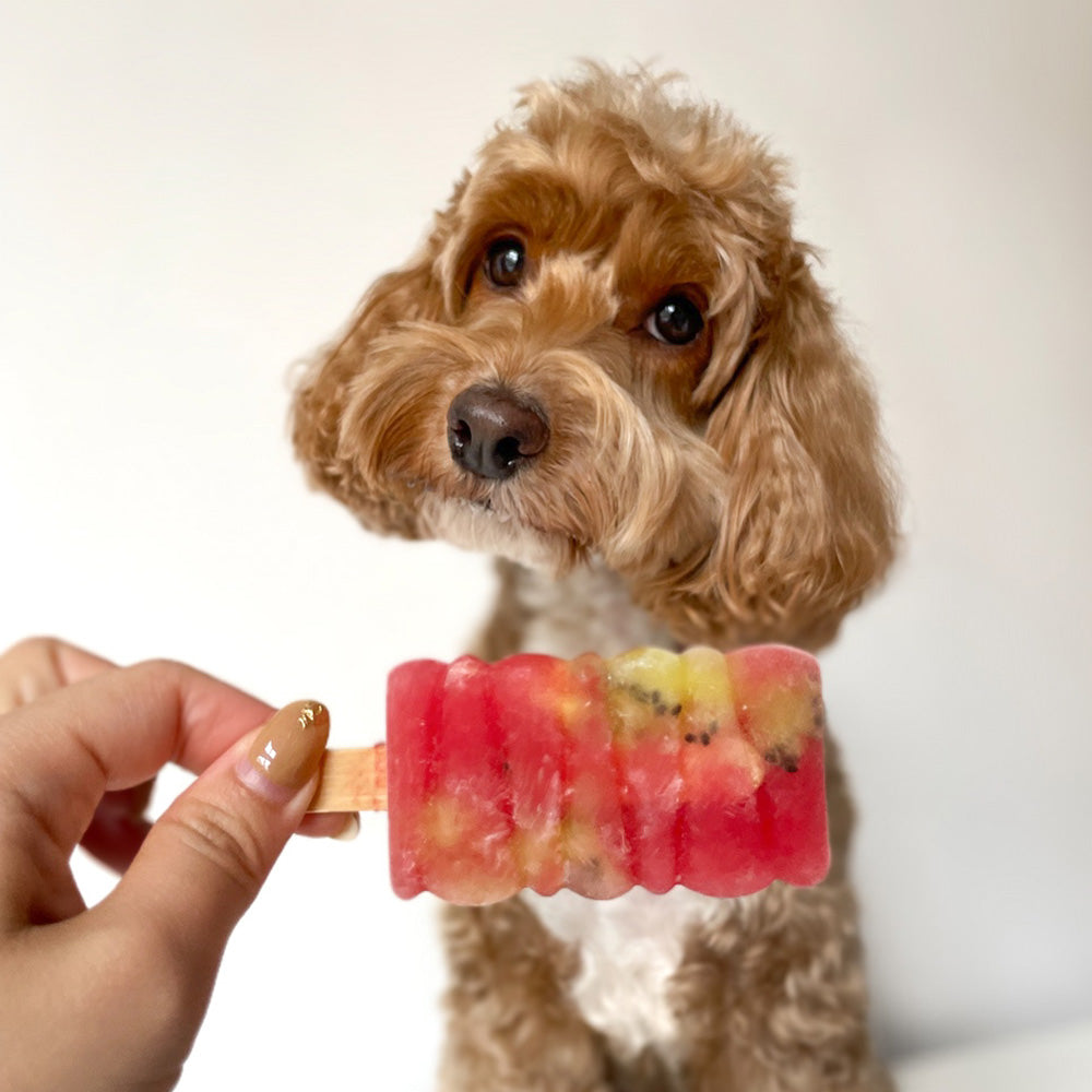 Licked. Watermelon Kiwi Slushie Mini Pawpsicles