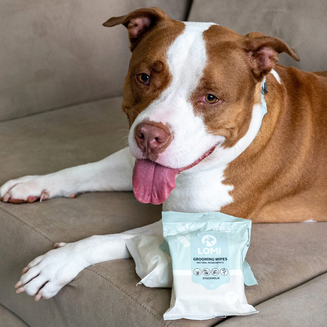 Lomi Bamboo Grooming Wipes | Mini