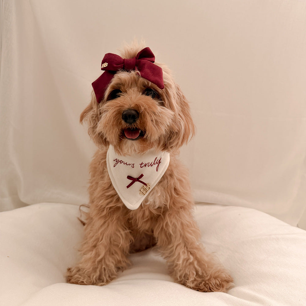 比利熊 Yours Truly Bandana