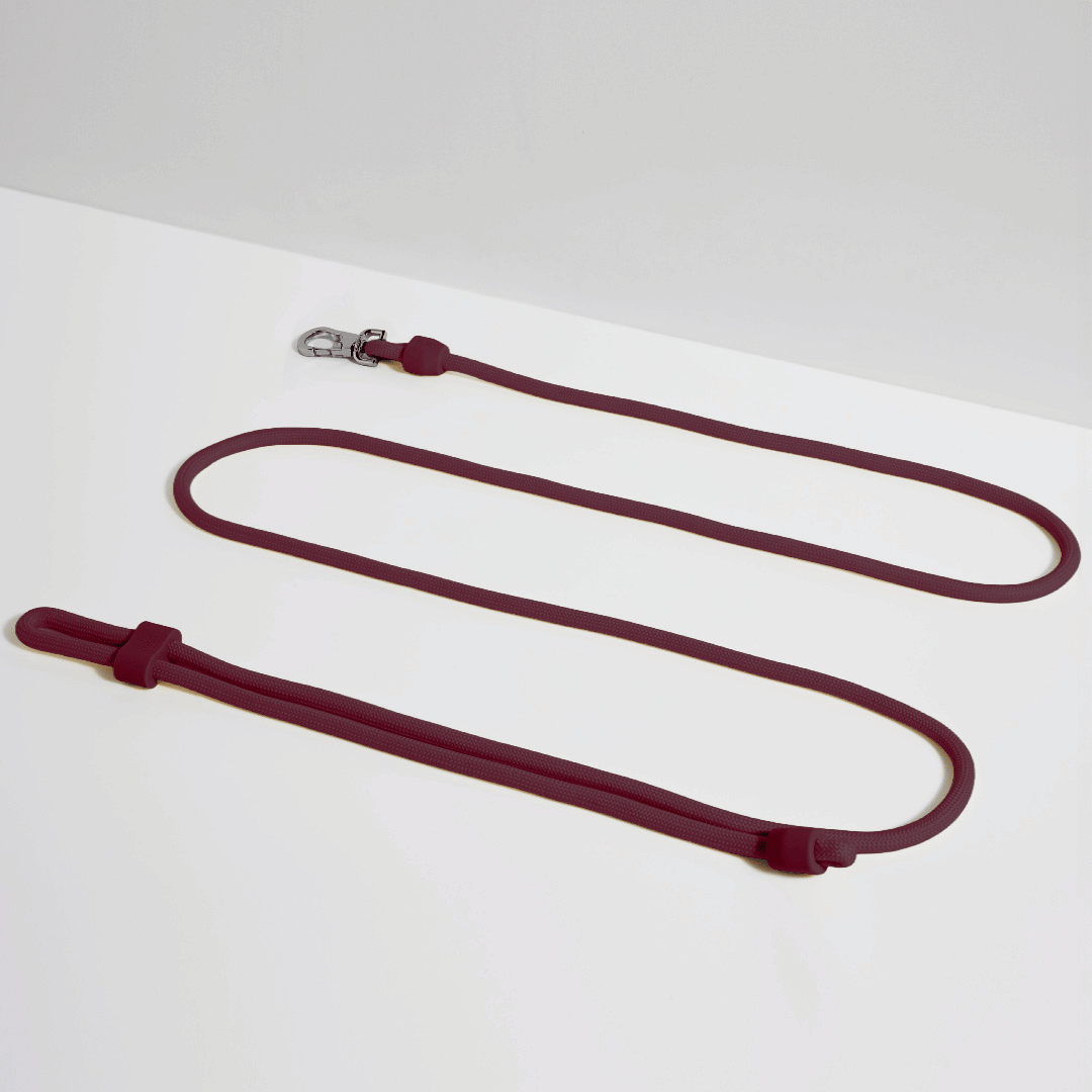ST ARGO 免手持牵引绳 | 酒红色