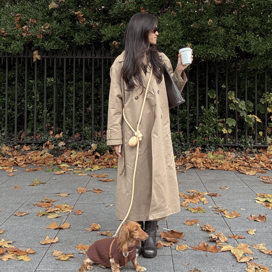 ST ARGO 免手持牵引绳 | Butter