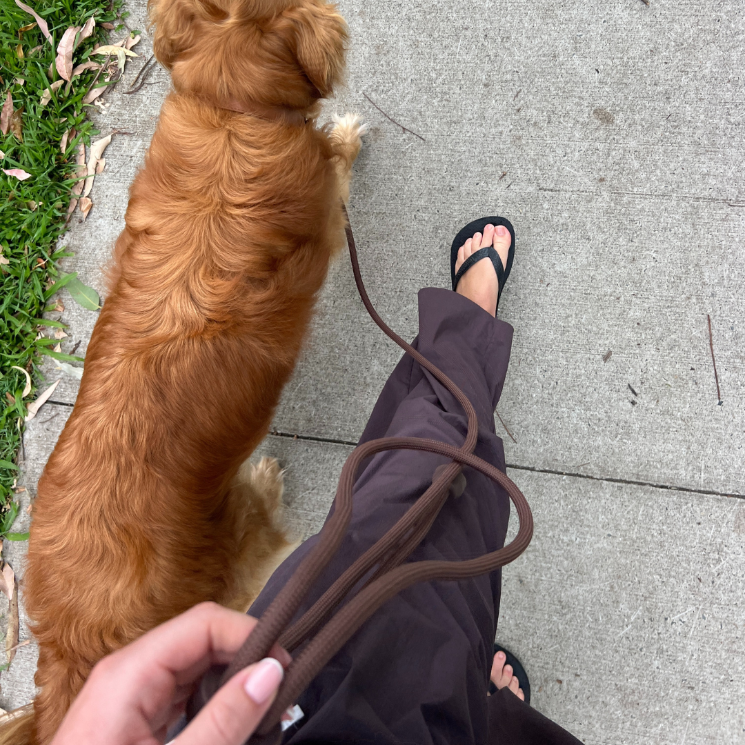 ST ARGO Hands-free Leash | Cocoa