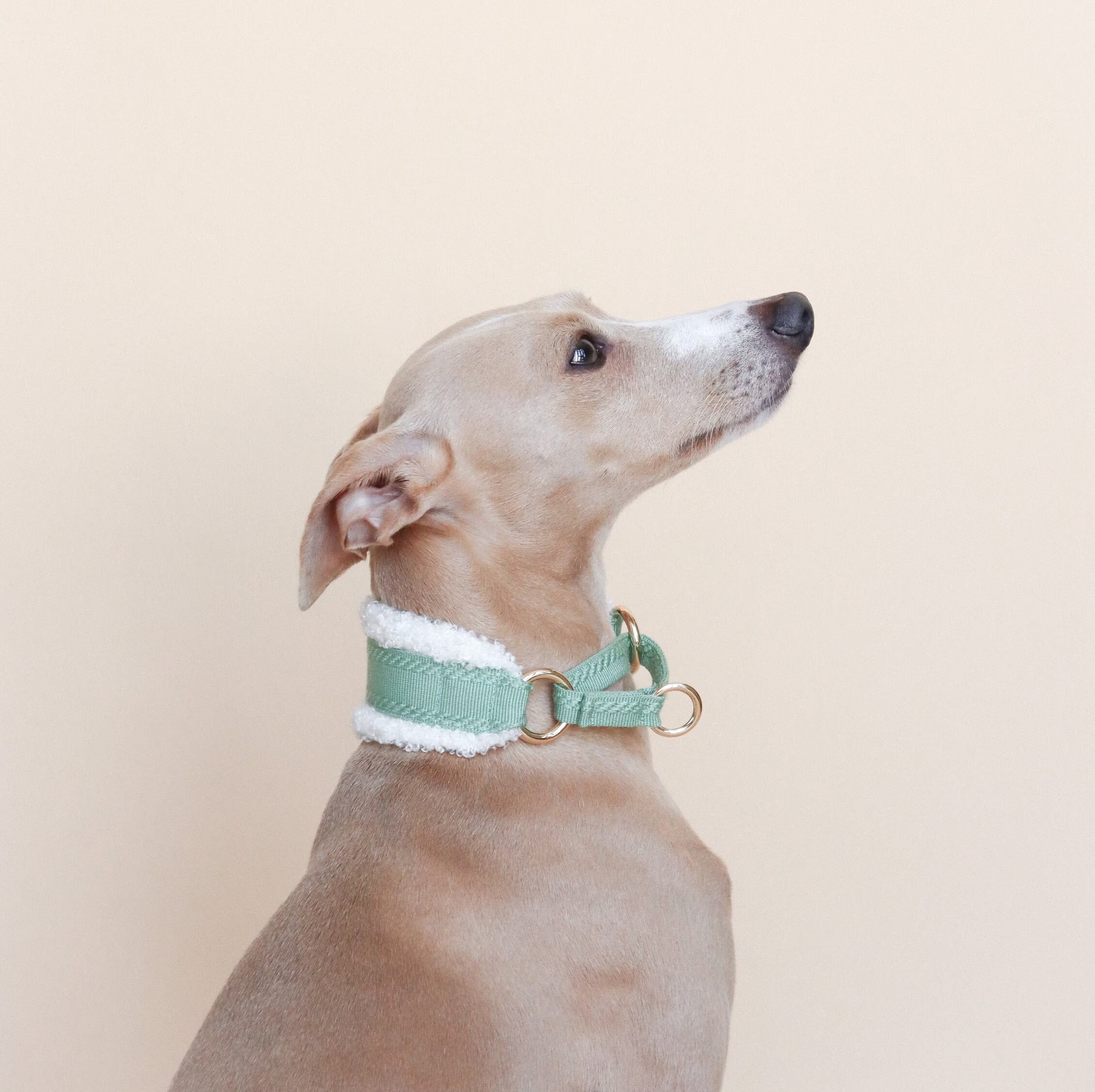 Linécru FLUF || Martingale
