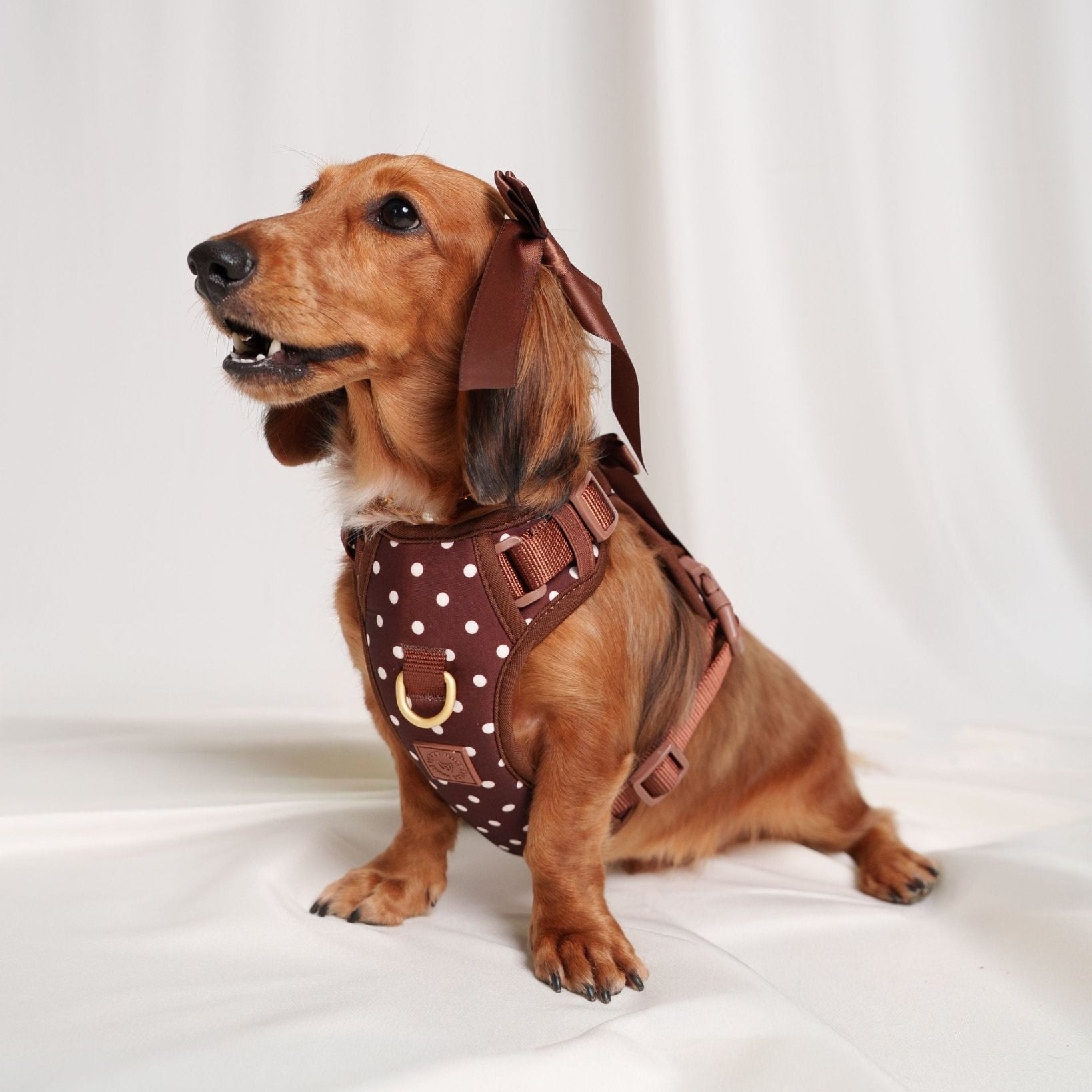 Furry Muse Wander! Bow Harness2.0 Cocoa Polka