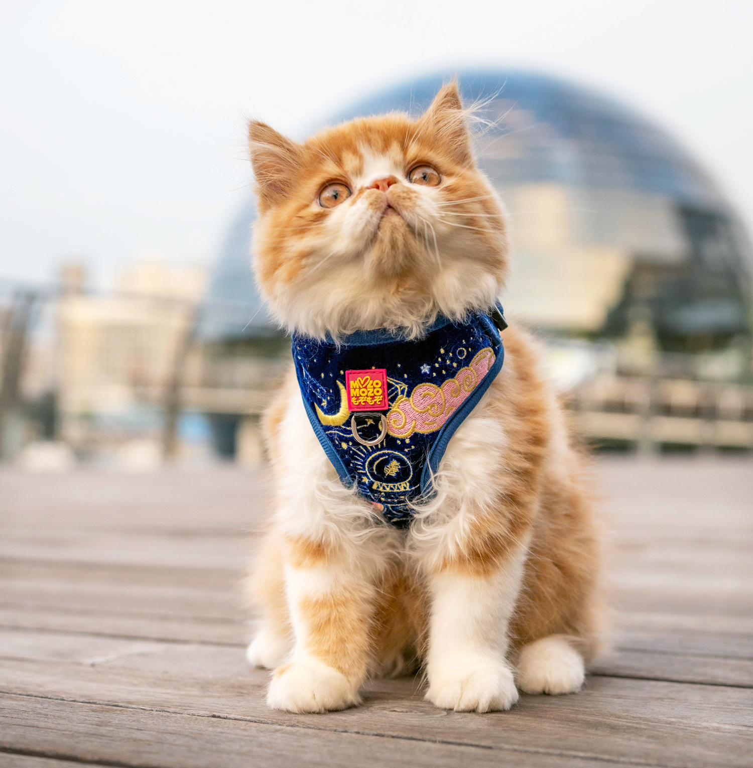 MozoMozo Magical Royal Harness