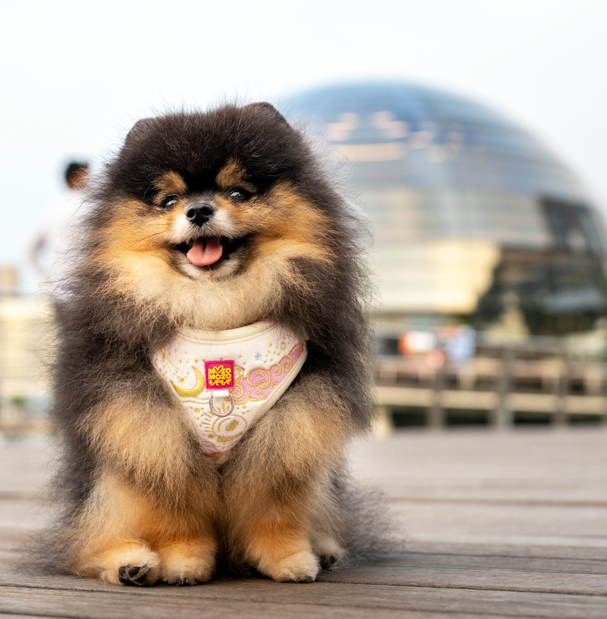 MozoMozo Magical Shimmery Harness