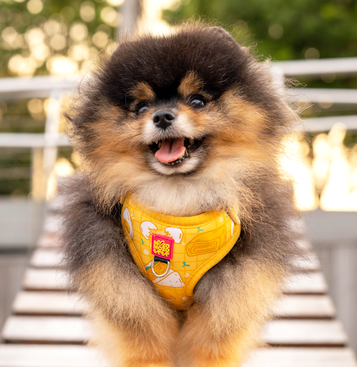 MozoMozo Egg-cellent Harness